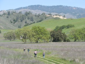 IMG_4861 Sedgwick Reserve in the Santa Ynez Valley