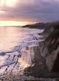 Shoreline