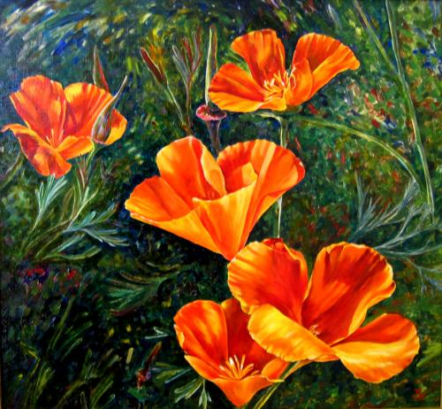 Jamee Aubrey 31-poppies-in-the-field24x24oil