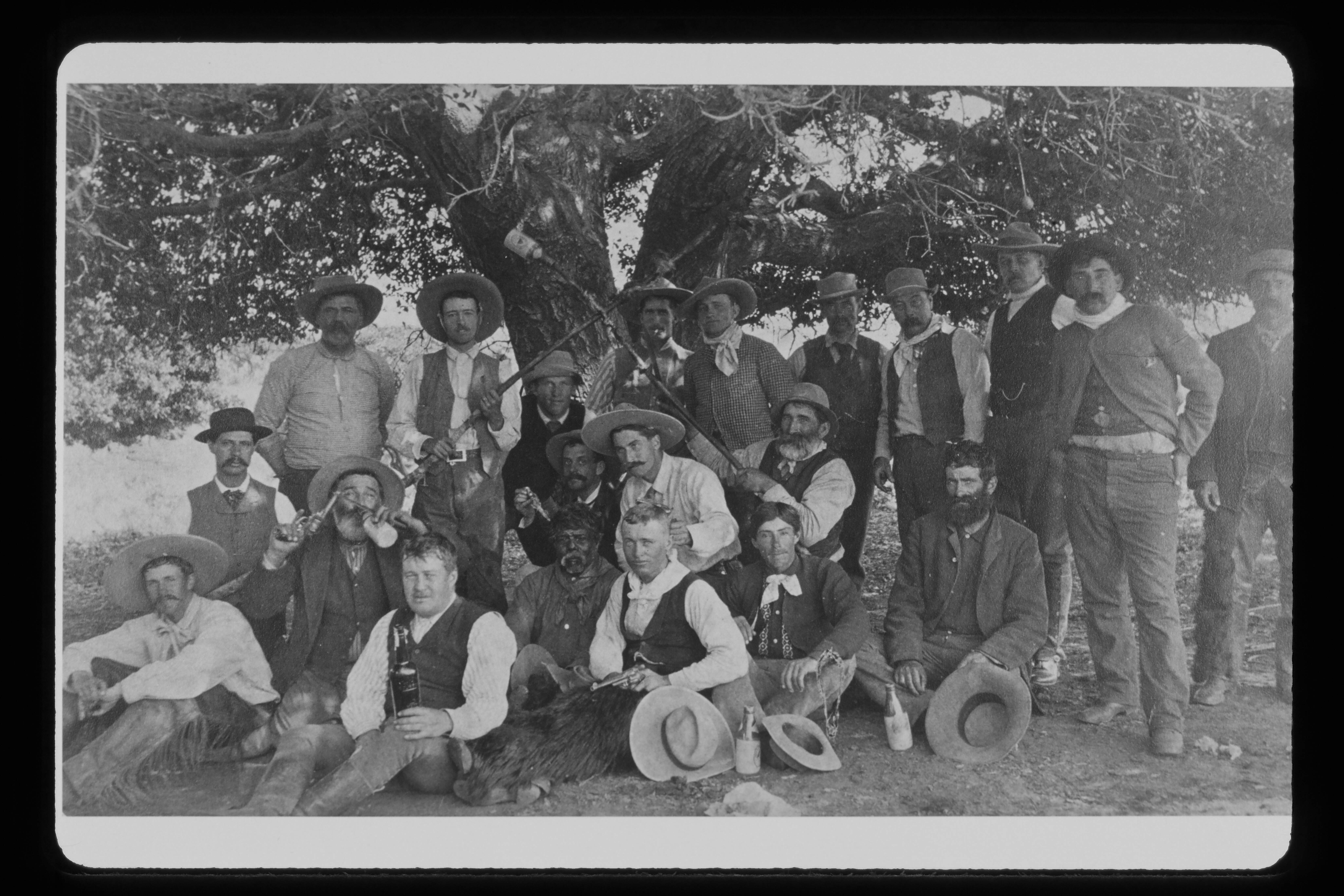 group under tree reduced