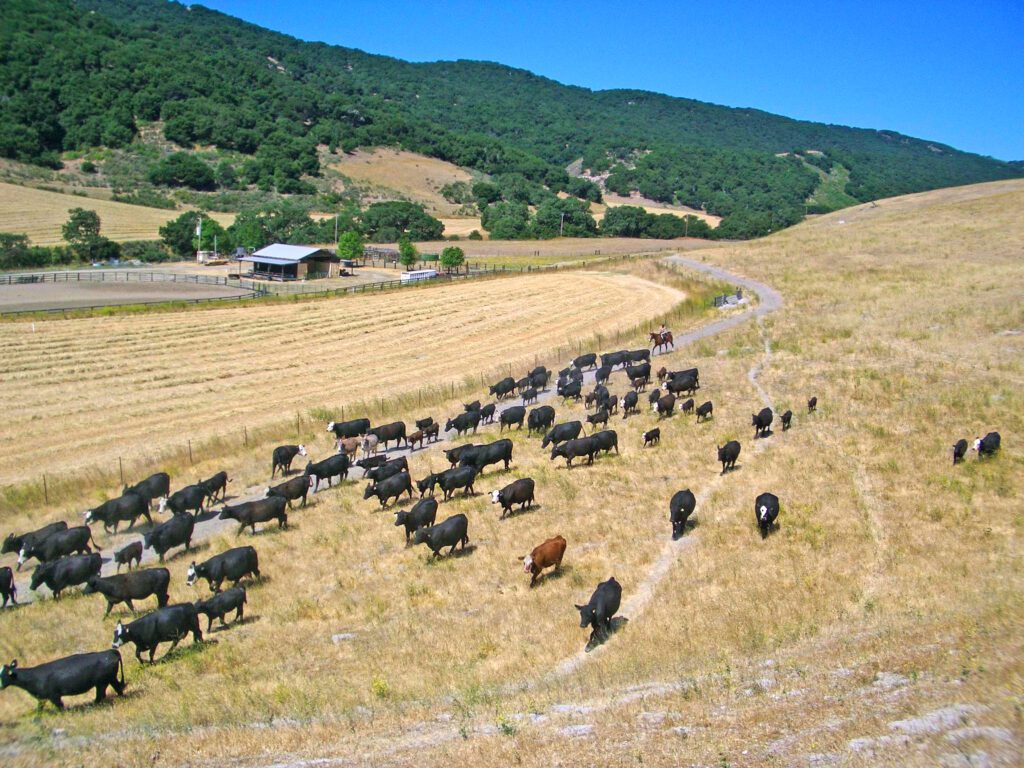 Rancho La Purisima