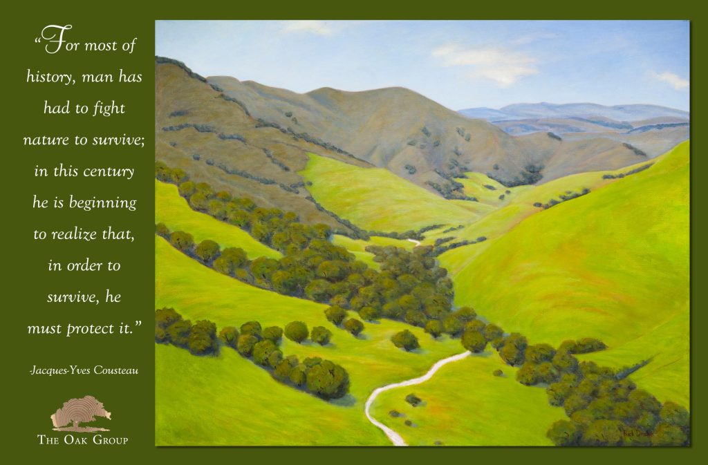 Plein air painting of a lush green valley with a blue sky.